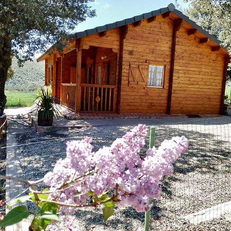 La Casa Del Estanque Villa Olocau del Rey ภายนอก รูปภาพ