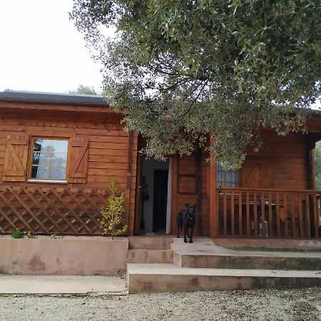 La Casa Del Estanque Villa Olocau del Rey ภายนอก รูปภาพ