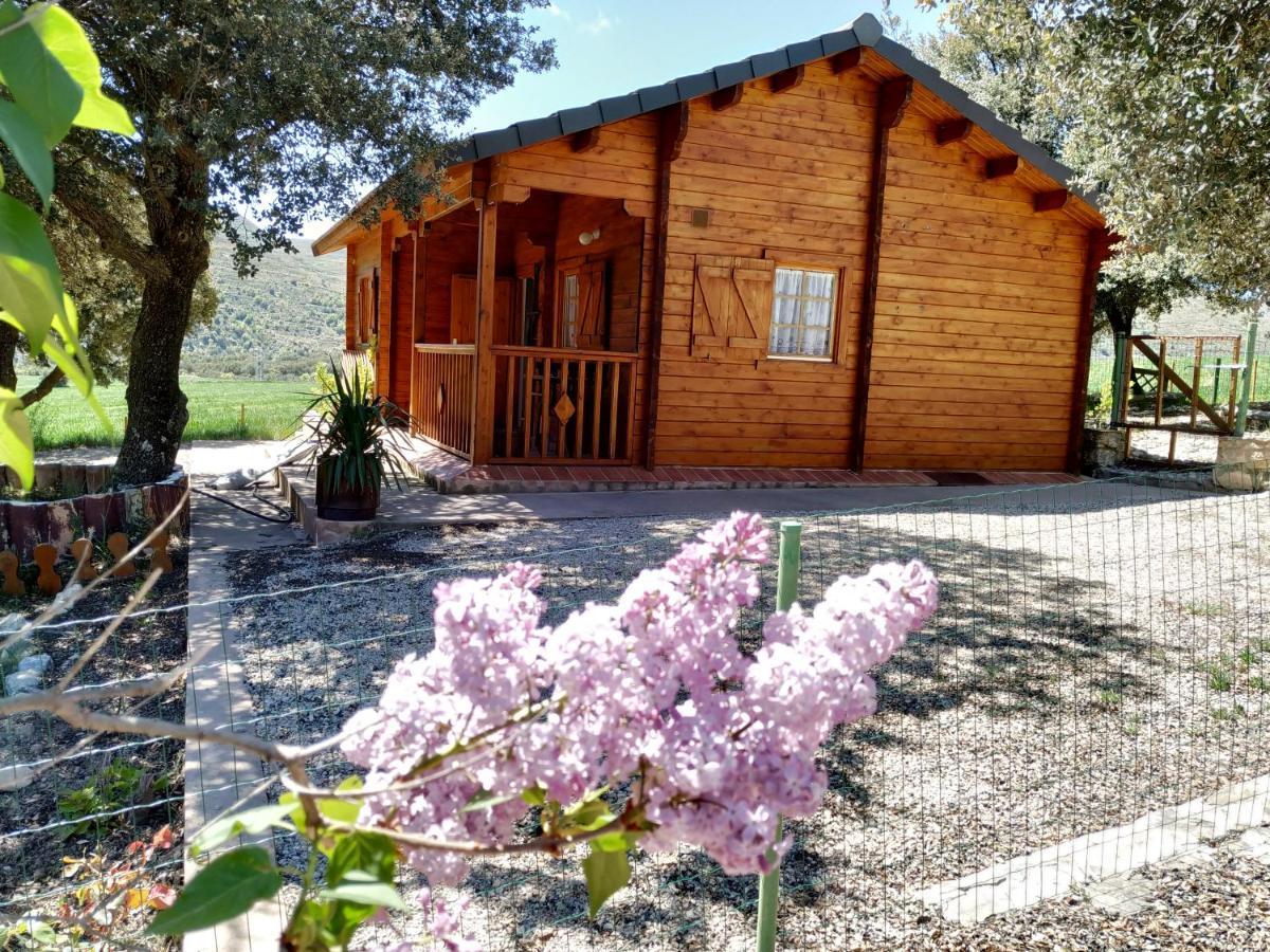 La Casa Del Estanque Villa Olocau del Rey ภายนอก รูปภาพ
